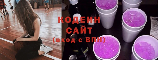 шишки Белокуриха
