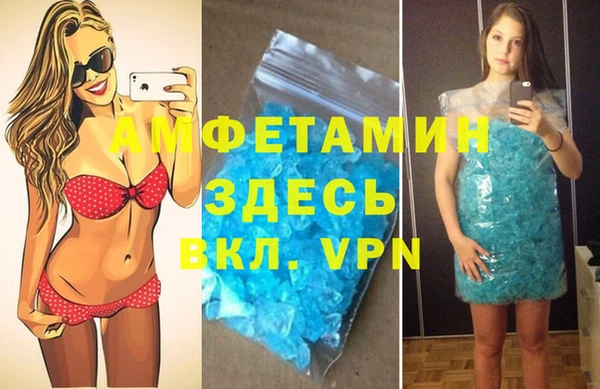 шишки Белокуриха