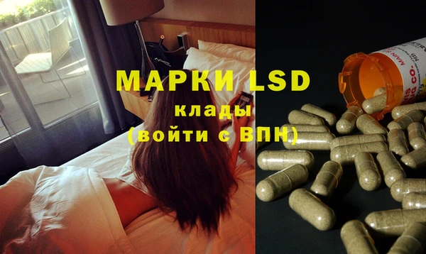 шишки Белокуриха