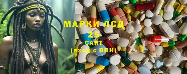шишки Белокуриха