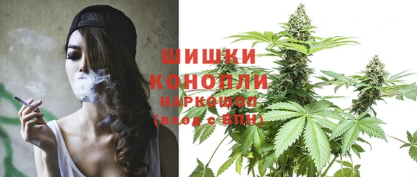 шишки Белокуриха