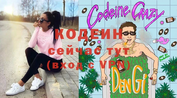 шишки Белокуриха
