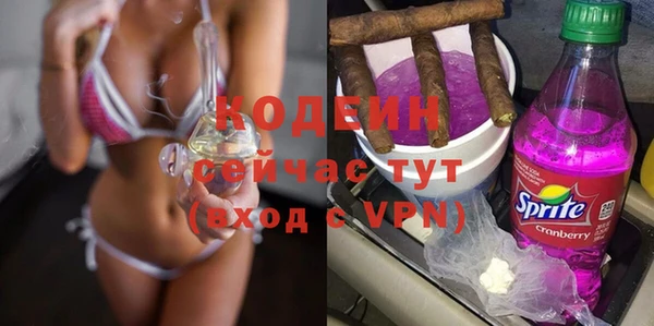 шишки Белокуриха