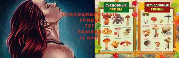 шишки Белокуриха