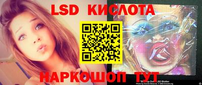 spice Моздок