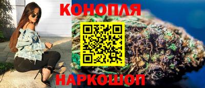 spice Моздок