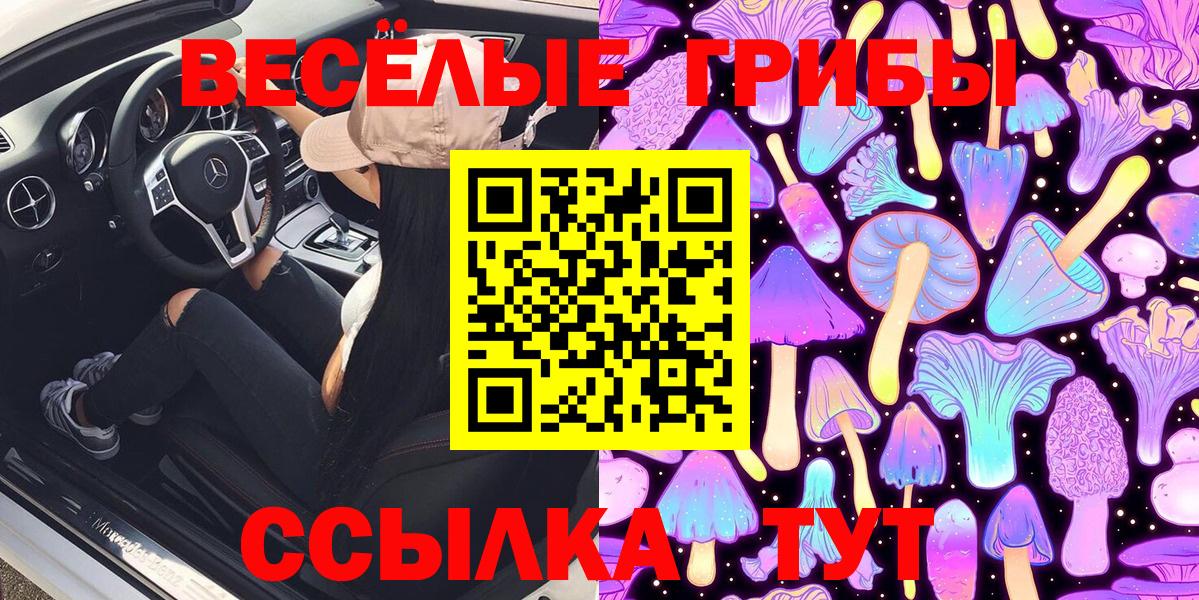 Псилоцибиновые грибы мухоморы Горячий Ключ