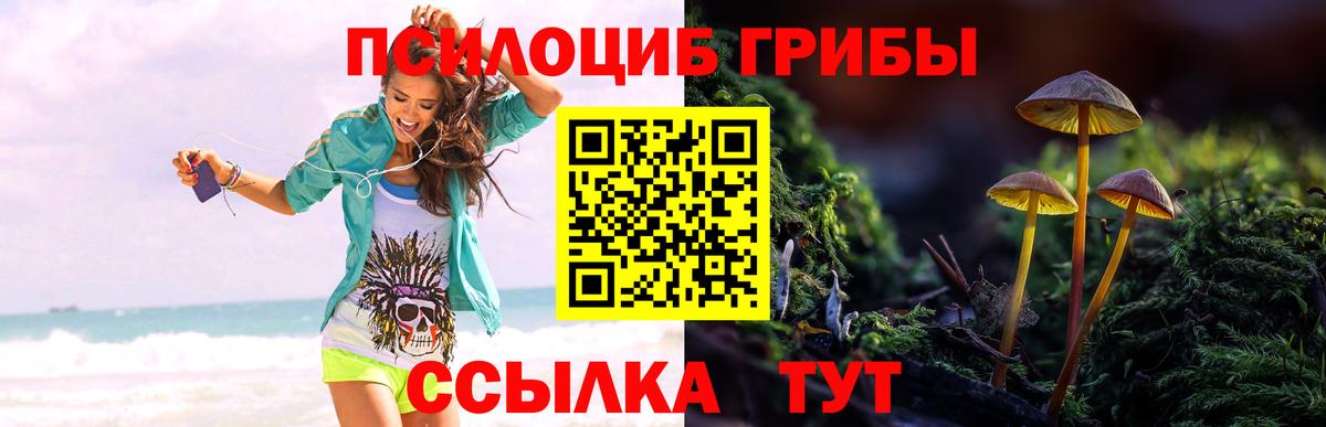 Псилоцибиновые грибы GOLDEN TEACHER  Вход с VPN  Горячий Ключ  Псилоцибиновые грибы Magic Shrooms 
